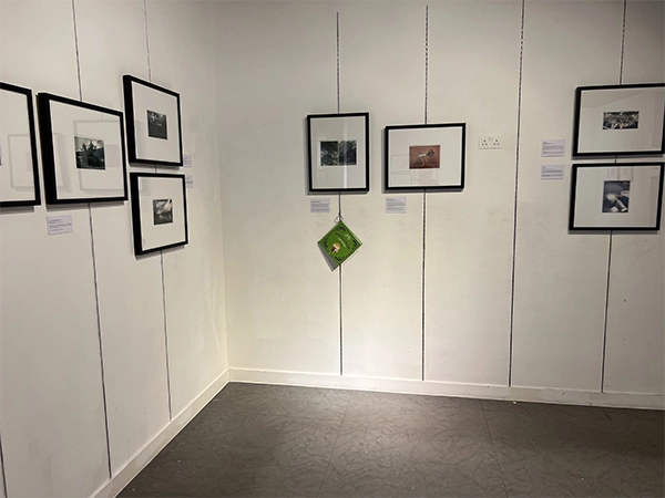 nterior gallery view of the 2024 Pilot showcase, featuring contemporary photography from local participants
